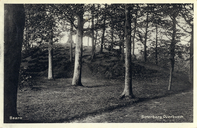 7930 Gezicht op de Boterberg met loofbomen in het Baarnsche Bosch te Baarn.